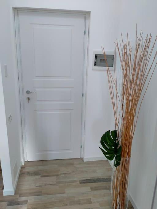 Suite Room Malpensa B&B Cardano Al Campo Luaran gambar
